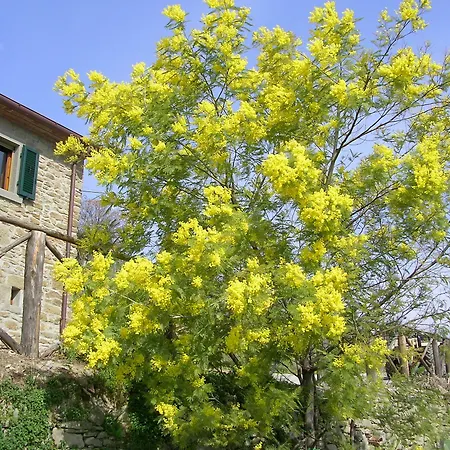 Villa Casale Della Torre Cortona